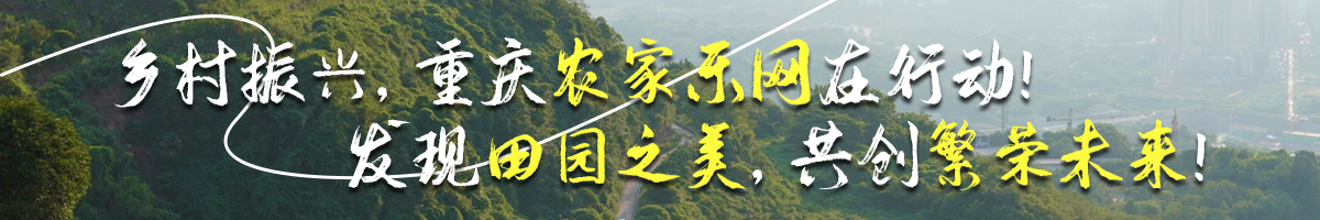 殡葬资讯