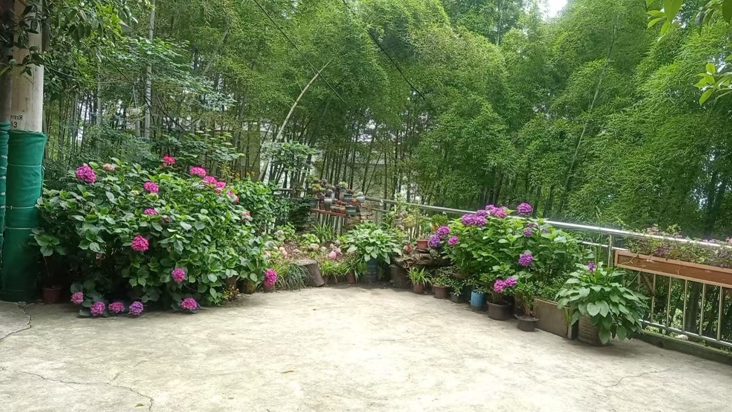 雨田别院