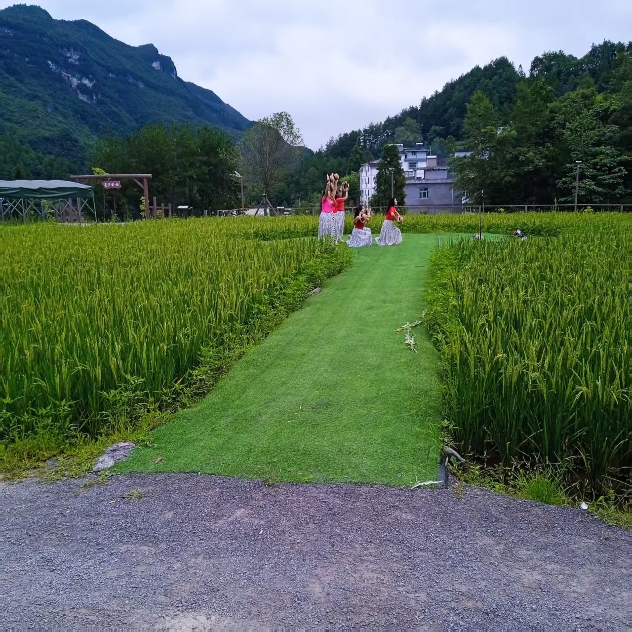 环境